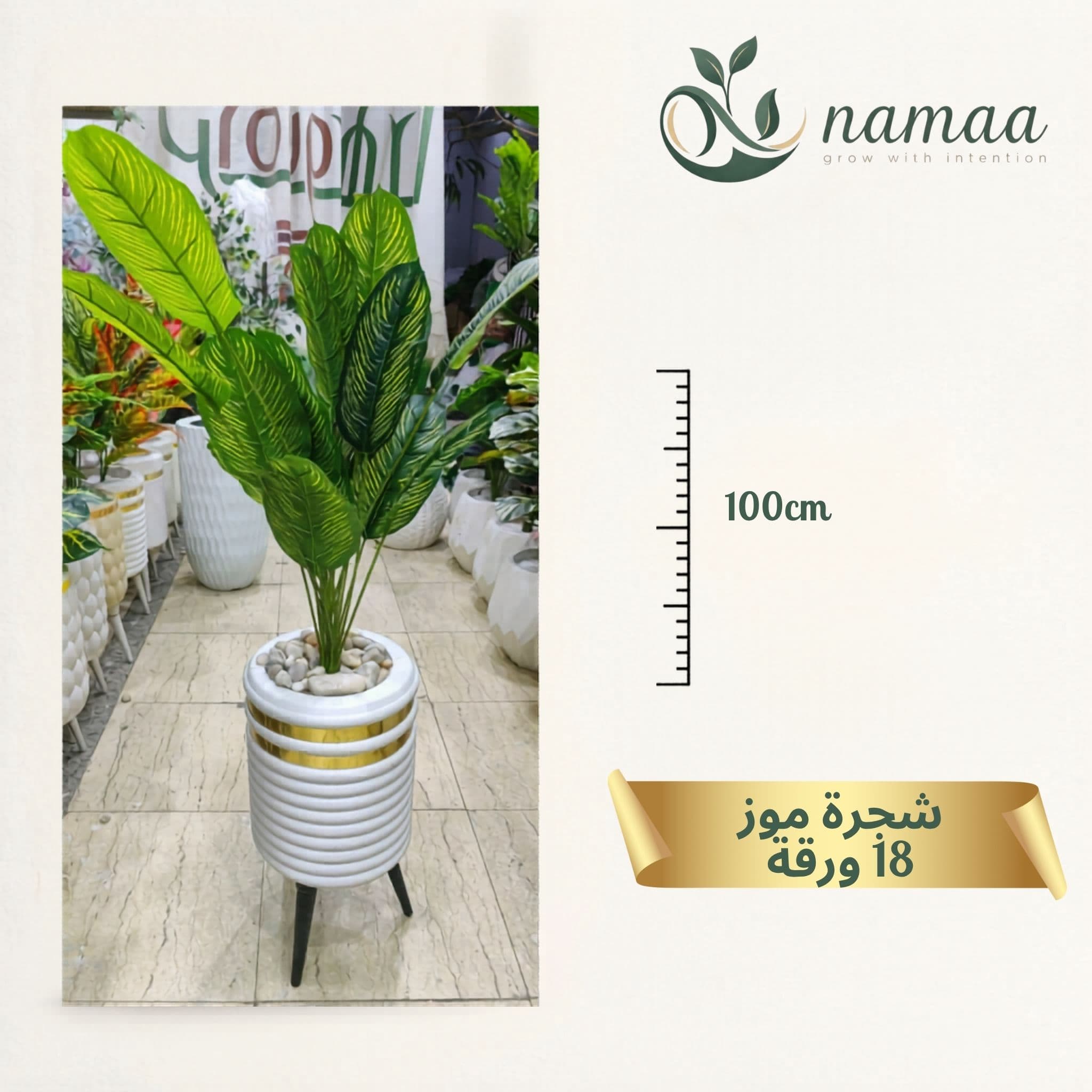 Banana tree